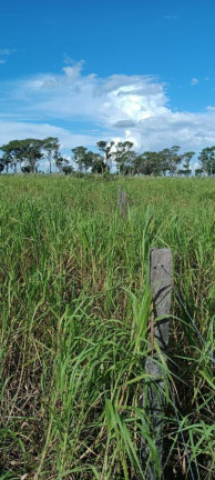Imagem Fazenda à Venda, 1.200 m² em Rural - Corumbá