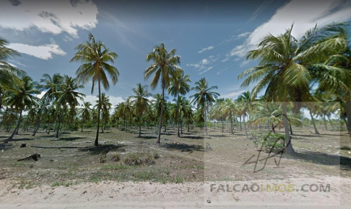 Imagem Terreno à Venda,  em Sítio Do Conde - Conde-ba - Conde
