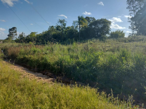 Imagem Terreno à Venda, 20.000 m² em Alto Perequê - Arroio Do Padre