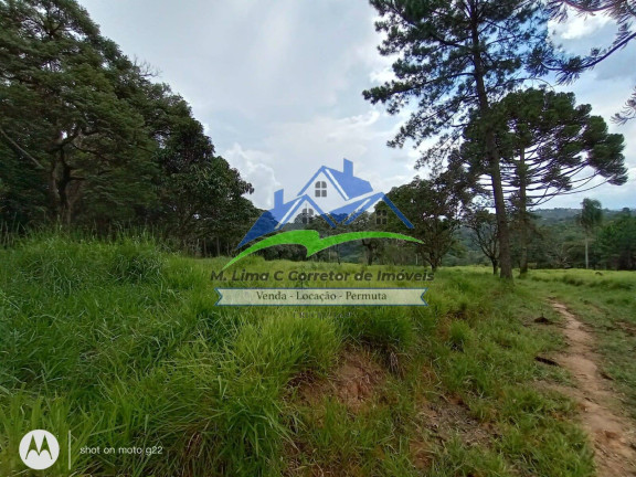 Imagem Terreno à Venda, 48 m² em Terra Preta - Mairiporã Imagem Terreno à Venda, 48 m² em Terra Preta - Mairiporã