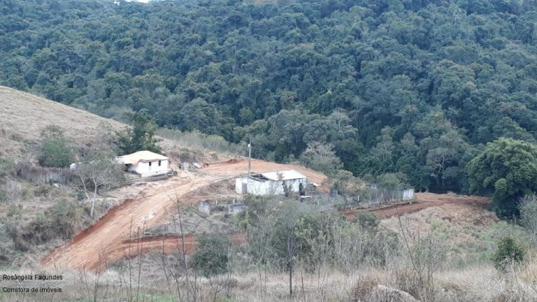 Imagem Imóvel à Venda, 10 m² em Sitio Capituvas - Bandeira Do Sul Imagem Imóvel à Venda, 10 m² em Sitio Capituvas - Bandeira Do Sul