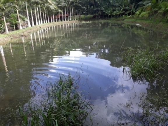 Imagem Chácara com 5 Quartos à Venda, 300 m² em Oliveira - Tijucas