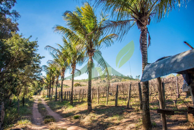 Imagem Terreno à Venda, 32.277 m² em Parque Rio Abaixo - Atibaia Imagem Terreno à Venda, 32.277 m² em Parque Rio Abaixo - Atibaia