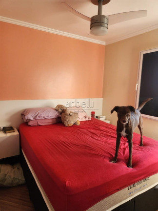 Imagem Apartamento com 3 Quartos para Alugar, 65 m² em City América - São Paulo