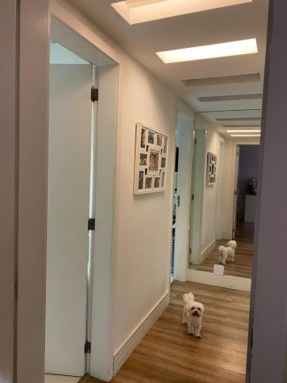 Imagem Apartamento com 3 Quartos à Venda, em Laranjeiras - Rio De Janeiro Imagem Apartamento com 3 Quartos à Venda, em Laranjeiras - Rio De Janeiro