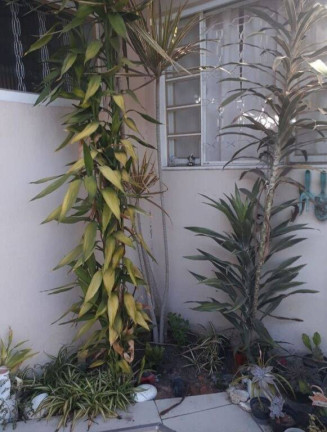Imagem Casa com 3 Quartos à Venda, 190 m² em Flor Do Vale - Tremembé Imagem Casa com 3 Quartos à Venda, 190 m² em Flor Do Vale - Tremembé