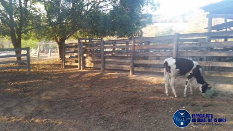 Imagem Chácara à Venda, 5 m² em Zona Rural - Santa Cruz De Goiás Imagem Chácara à Venda, 5 m² em Zona Rural - Santa Cruz De Goiás