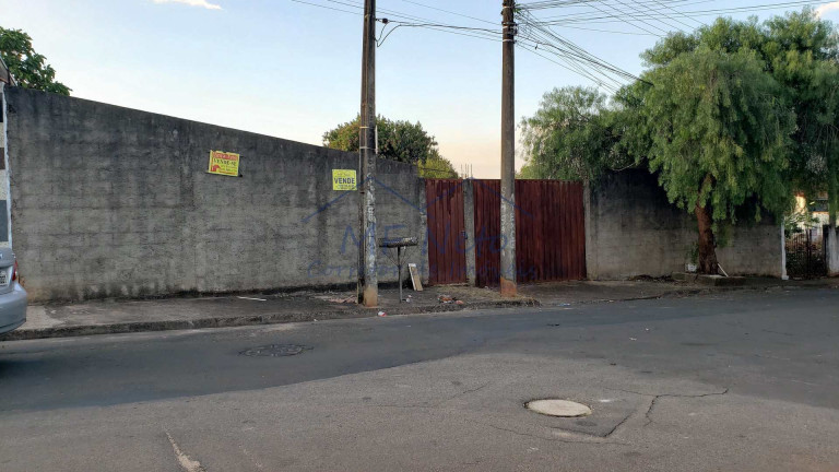 Imagem Terreno à Venda, 650 m² em Vila São Guido - Pirassununga