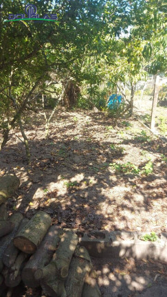 Imagem Casa com 3 Quartos à Venda, 680 m² em águas Claras - Viamão Imagem Casa com 3 Quartos à Venda, 680 m² em águas Claras - Viamão