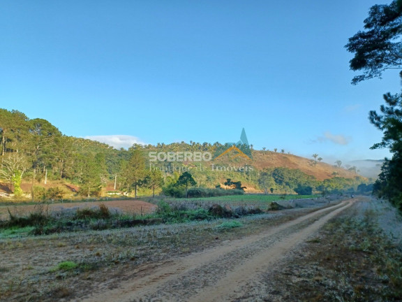 Imagem Imóvel com 46 Quartos à Venda, 2.200.000 m² em Ponte Nova - Teresópolis Imagem Imóvel com 46 Quartos à Venda, 2.200.000 m² em Ponte Nova - Teresópolis