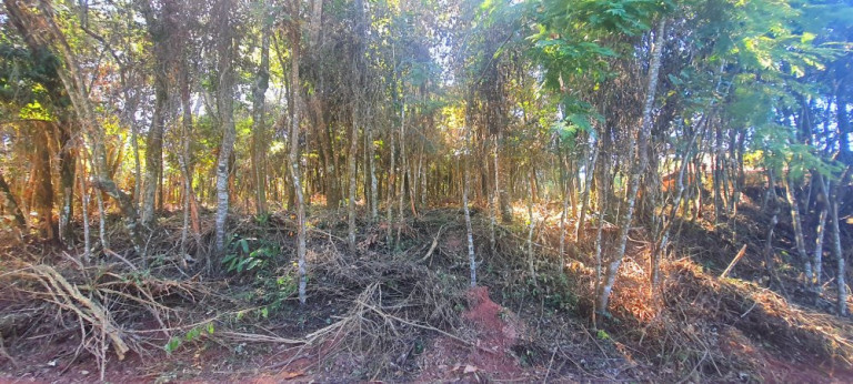 Imagem Imóvel à Venda, 700 m² em Recanto Dos Palmares - Atibaia Imagem Imóvel à Venda, 700 m² em Recanto Dos Palmares - Atibaia