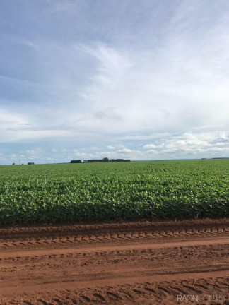 Imagem Fazenda à Venda, 34.060.000 m² em Zona Rural - Novo São Joaquim Imagem Fazenda à Venda, 34.060.000 m² em Zona Rural - Novo São Joaquim