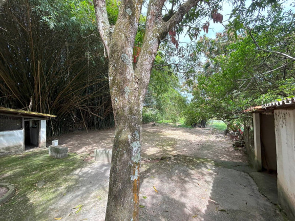 Imagem Chácara com 9 Quartos à Venda, 10.000 m² em Pingo D'água - Betim Imagem Chácara com 9 Quartos à Venda, 10.000 m² em Pingo D'água - Betim