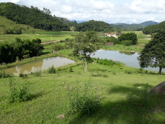 Imagem Chácara com 5 Quartos à Venda, 300 m² em Oliveira - Tijucas