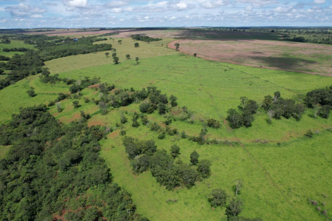 Imagem Fazenda à Venda, 74 m² em Zona Rural - Prata Imagem Fazenda à Venda, 74 m² em Zona Rural - Prata