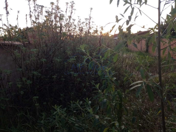Imagem Terreno à Venda, 279 m² em Jardim Treviso - Pirassununga Imagem Terreno à Venda, 279 m² em Jardim Treviso - Pirassununga