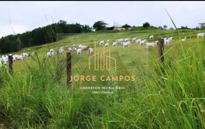Imagem Fazenda à Venda, 96 m² em área Rural De Itajubá - Itajubá Imagem Fazenda à Venda, 96 m² em área Rural De Itajubá - Itajubá