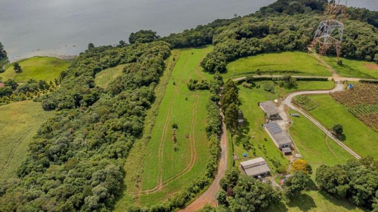Imagem Terreno à Venda, 15.000 m² em Passaúna - Campo Largo Imagem Terreno à Venda, 15.000 m² em Passaúna - Campo Largo