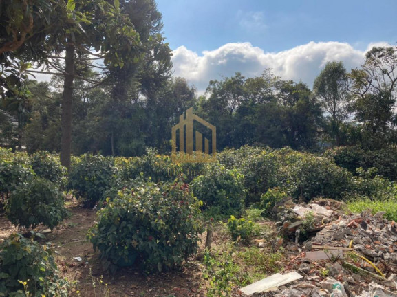 Imagem Terreno à Venda, 2.080 m² em Vila Santa Terezinha - Loteamento Vila Santo Onofre - Campo Largo