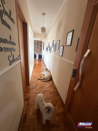 Imagem Apartamento com 3 Quartos à Venda, 110 m² em Perdizes - São Paulo Imagem Apartamento com 3 Quartos à Venda, 110 m² em Perdizes - São Paulo