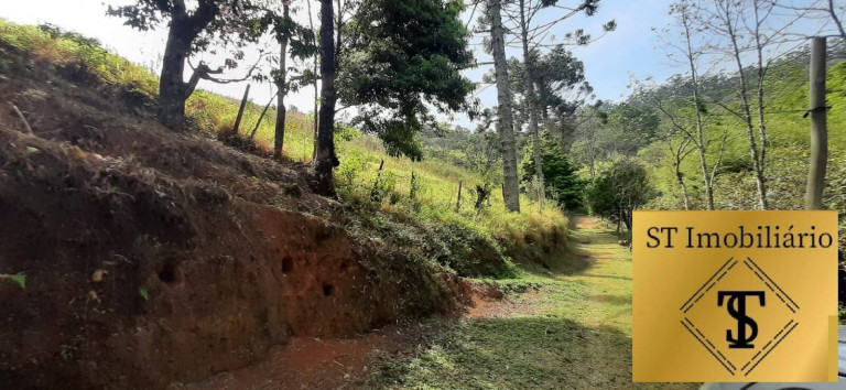Imagem Chácara com 3 Quartos à Venda, 72.000 m² em Estância Santa Maria Do Portão - Atibaia