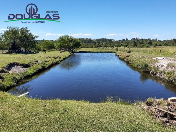 Imagem Chácara à Venda,  em águas Claras - Viamão
