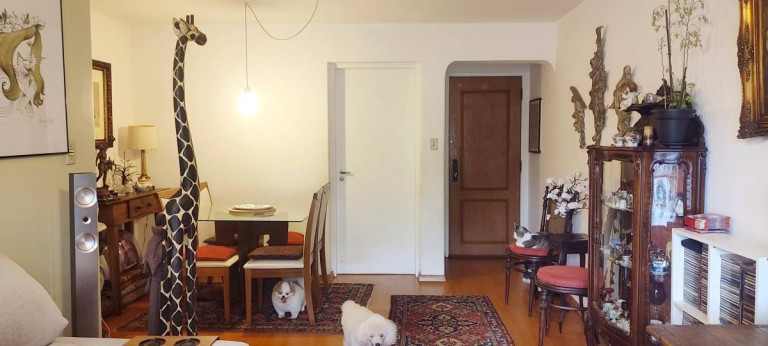 Imagem Apartamento com 3 Quartos à Venda, 82 m² em Indianópolis - São Paulo