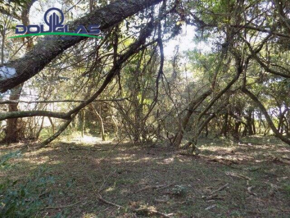 Chácara à Venda, 20.000 m² em águas Claras - Viamão