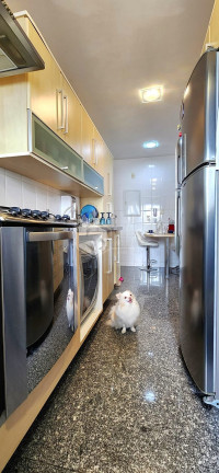 Imagem Apartamento com 3 Quartos à Venda, 116 m² em Vila Romana - São Paulo