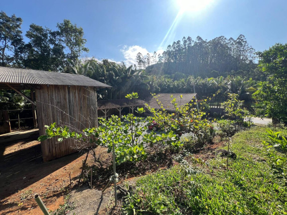 Imagem Chácara com 3 Quartos à Venda, 2.600.000 m² em Massaranduba Imagem Chácara com 3 Quartos à Venda, 2.600.000 m² em Massaranduba