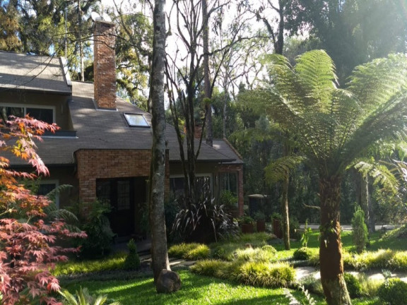 Imagem Imóvel com 3 Quartos à Venda, 382 m² em Centro - Gramado Imagem Imóvel com 3 Quartos à Venda, 382 m² em Centro - Gramado