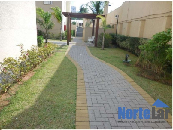 Imagem Apartamento com 2 Quartos à Venda, 50 m² em Vila Siqueira (zona Norte) - São Paulo Imagem Apartamento com 2 Quartos à Venda, 50 m² em Vila Siqueira (zona Norte) - São Paulo