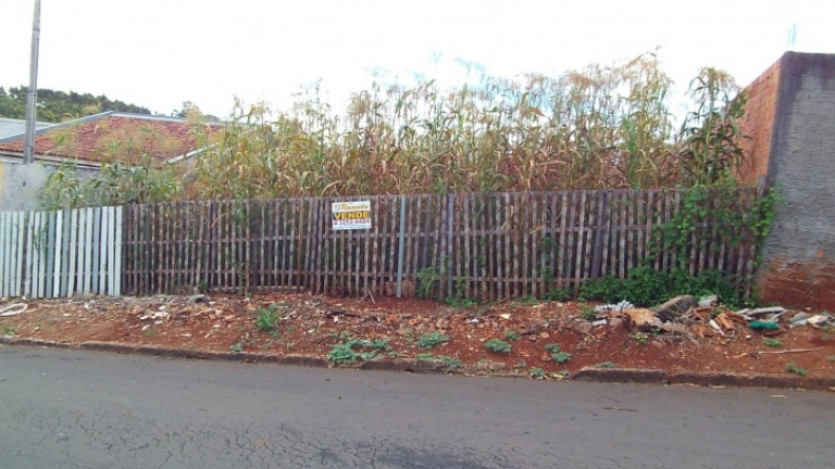 Imagem Terreno à Venda, 300 m² em Jardim Paulista - Arapongas