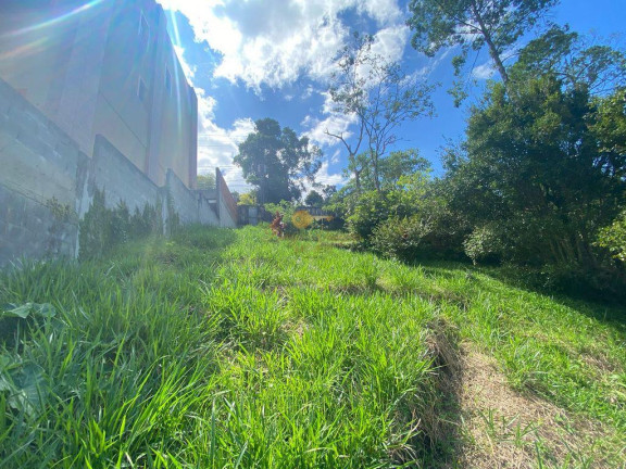 Imagem Terreno à Venda, 300 m² em Iucas - Teresópolis Imagem Terreno à Venda, 300 m² em Iucas - Teresópolis