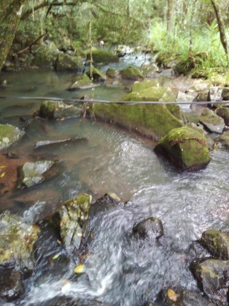 Imagem Chácara à Venda, em Lagoa Dos Barros - Santo Antônio Da Patrulha Imagem Chácara à Venda, em Lagoa Dos Barros - Santo Antônio Da Patrulha