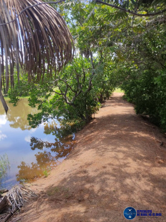 Imagem Fazenda à Venda, 37 m² em Zona Rural - Jussara Imagem Fazenda à Venda, 37 m² em Zona Rural - Jussara