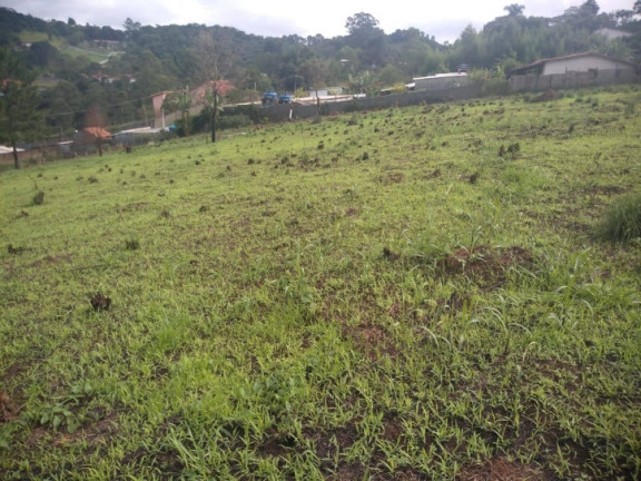 Imagem Terreno à Venda, 2.000 m² em Alpes Paulista (mailasqui) - São Roque