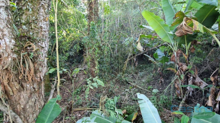 Imagem Imóvel à Venda, 82 m² em Machado - Gonçalves