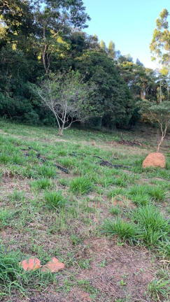 Imagem Chácara à Venda, 3 m² em Portão - Atibaia Imagem Chácara à Venda, 3 m² em Portão - Atibaia