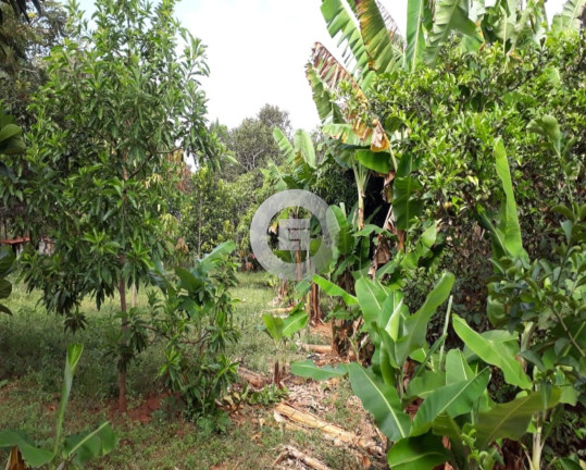 Imagem Imóvel com 3 Quartos à Venda, 100 m² em Lagoinha - Montes Claros Imagem Imóvel com 3 Quartos à Venda, 100 m² em Lagoinha - Montes Claros