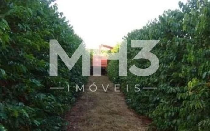 Imagem Imóvel com 8 Quartos à Venda, 5.300 m² em Centro - Piumhi Imagem Imóvel com 8 Quartos à Venda, 5.300 m² em Centro - Piumhi