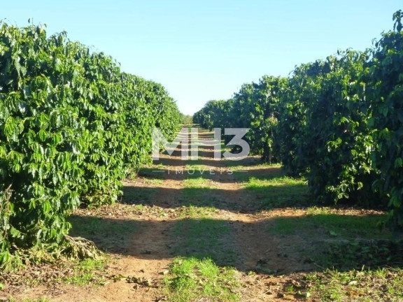 Imagem Imóvel com 8 Quartos à Venda, 5.300 m² em Centro - Piumhi Imagem Imóvel com 8 Quartos à Venda, 5.300 m² em Centro - Piumhi
