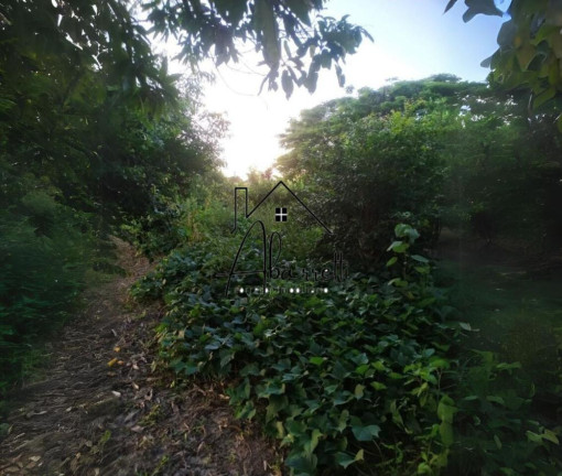 Imagem Chácara com 3 Quartos à Venda, 20.570 m² em Nhô Quim - Piracicaba