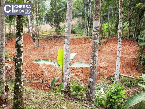 Imagem Chácara com 2 Quartos à Venda, 21.000 m² em Vila Do Salto - Luiz Alves Imagem Chácara com 2 Quartos à Venda, 21.000 m² em Vila Do Salto - Luiz Alves