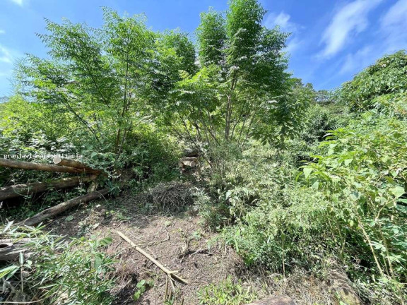 Imagem Terreno à Venda, em Vila Santo Antônio - Cotia Imagem Terreno à Venda, em Vila Santo Antônio - Cotia