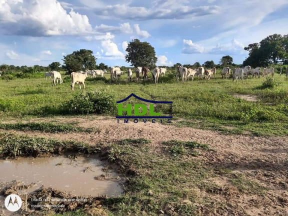 Imagem Fazenda à Venda, 318 m² em Zona Rural - Araguaiana