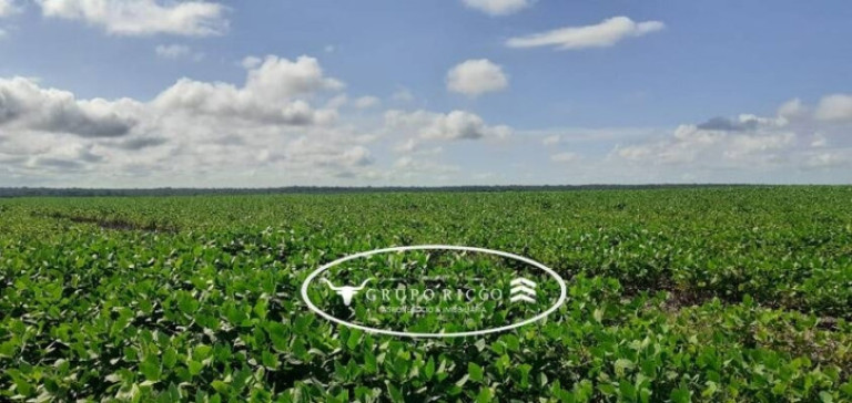 Imagem Fazenda à Venda, 1 m² em Zona Rural - Canabrava Do Norte Imagem Fazenda à Venda, 1 m² em Zona Rural - Canabrava Do Norte