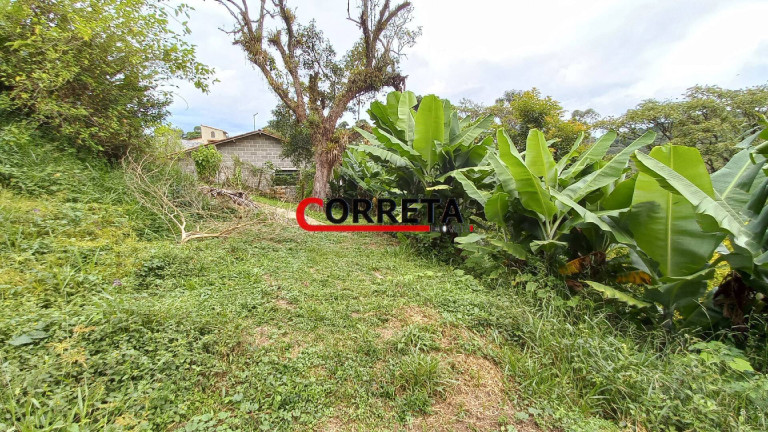 Imagem Casa com 3 Quartos à Venda, 3.848 m² em Vargem Do Salto - Ibiúna Imagem Casa com 3 Quartos à Venda, 3.848 m² em Vargem Do Salto - Ibiúna