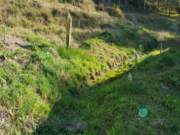 Imagem Imóvel com 2 Quartos à Venda, 50.000 m² em Zona Rural - Alfredo Wagner Imagem Imóvel com 2 Quartos à Venda, 50.000 m² em Zona Rural - Alfredo Wagner