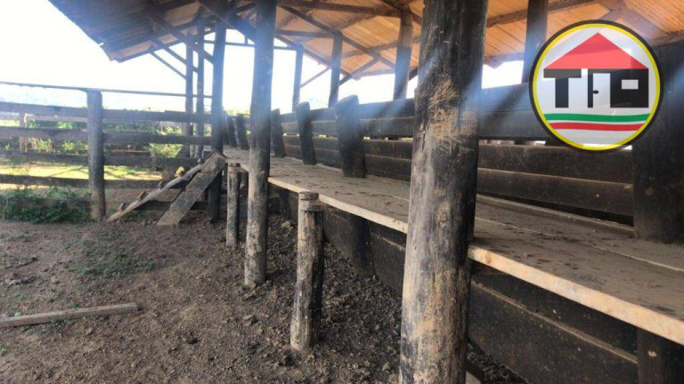Imagem Fazenda à Venda, 8.131.200 m² em Logradouro Sem Nome, Novo Repartimento - Pa, 68473-000, Brasil -4.759492, -49.588326 - Novo Repartimento Imagem Fazenda à Venda, 8.131.200 m² em Logradouro Sem Nome, Novo Repartimento - Pa, 68473-000, Brasil -4.759492, -49.588326 - Novo Repartimento